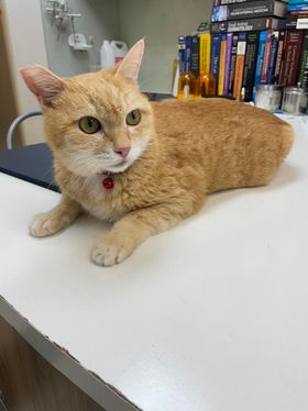 370252676 845512843936004 421203738448334146 N