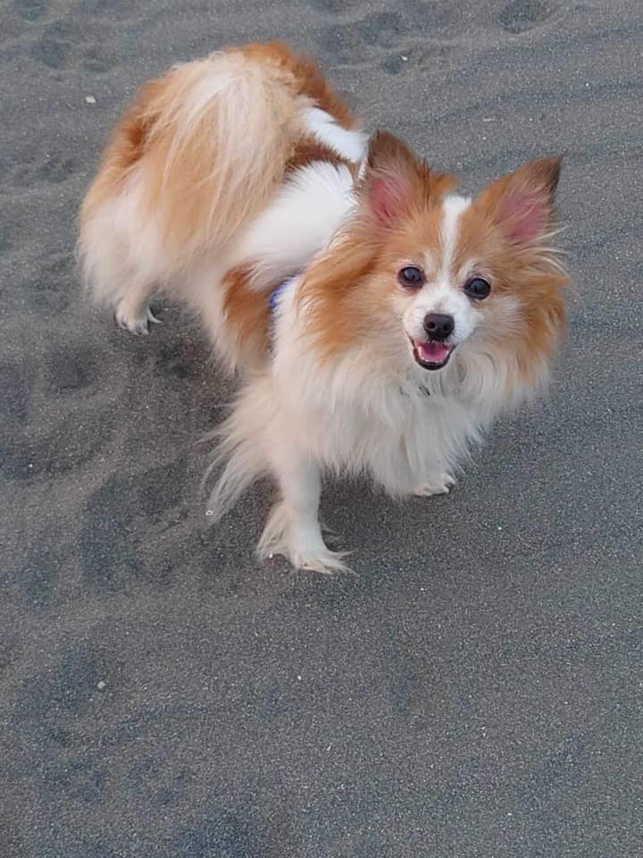 433504871 847393670733526 2404880054761152122 N