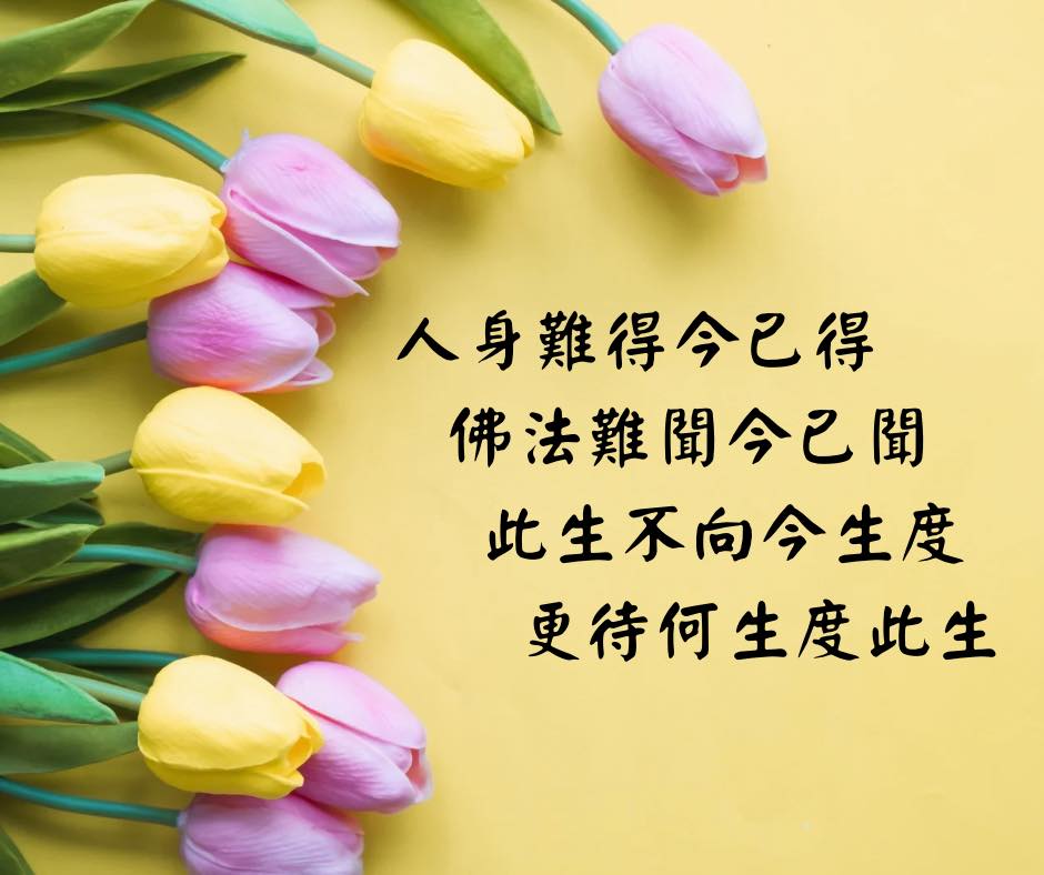 482219942 1098054652334092 7348628389206168719 N