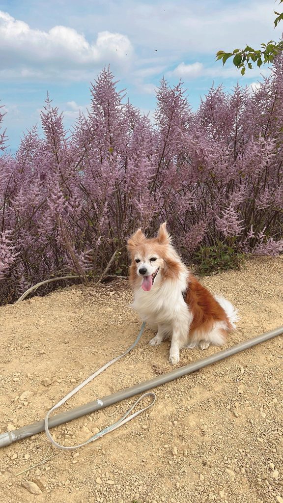 646637571 1397944422345112 844139848959842062 N